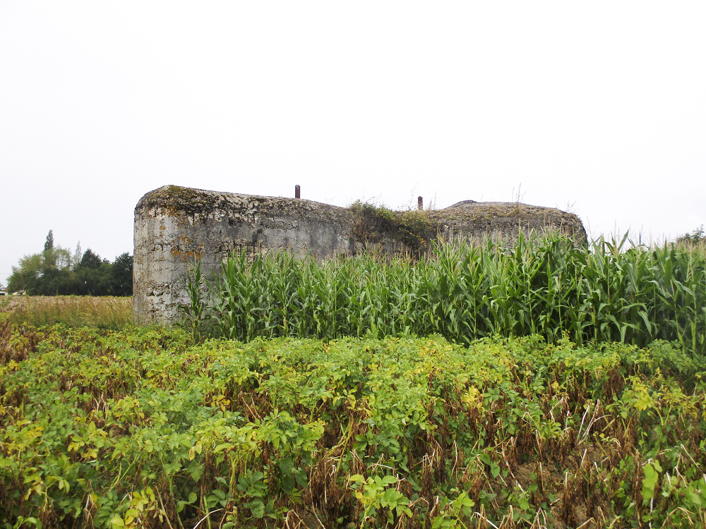 Ligne Maginot - CEZF-H - RYVELD EST - (Casemate d'infanterie) - Vue prise du côté de Winnezeele