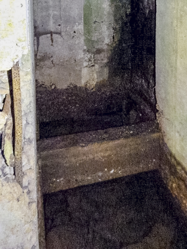 Ligne Maginot - CEZF-H - RYVELD EST - (Casemate d'infanterie) - 