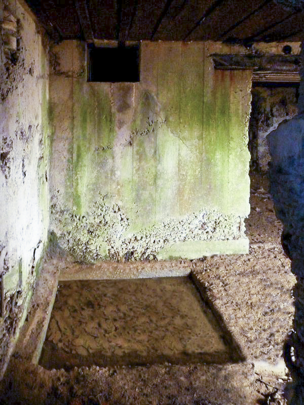 Ligne Maginot - CEZF-H - RYVELD EST - (Casemate d'infanterie) - 
