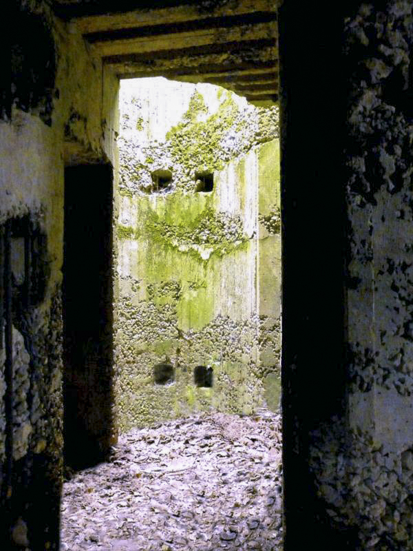 Ligne Maginot - CEZF-H - RYVELD EST - (Casemate d'infanterie) - 