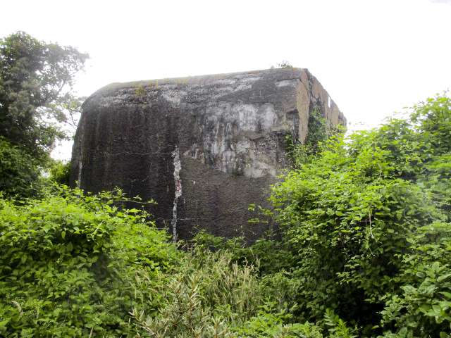 Ligne Maginot - DUNES CENTRE - (Blockhaus pour canon) -  - Smardz Félix