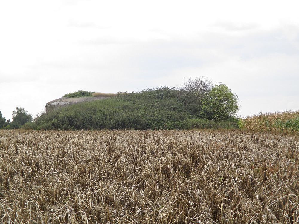 Ligne Maginot - B254 - LES MEURINS - (Blockhaus pour canon) -  - Smardz Félix