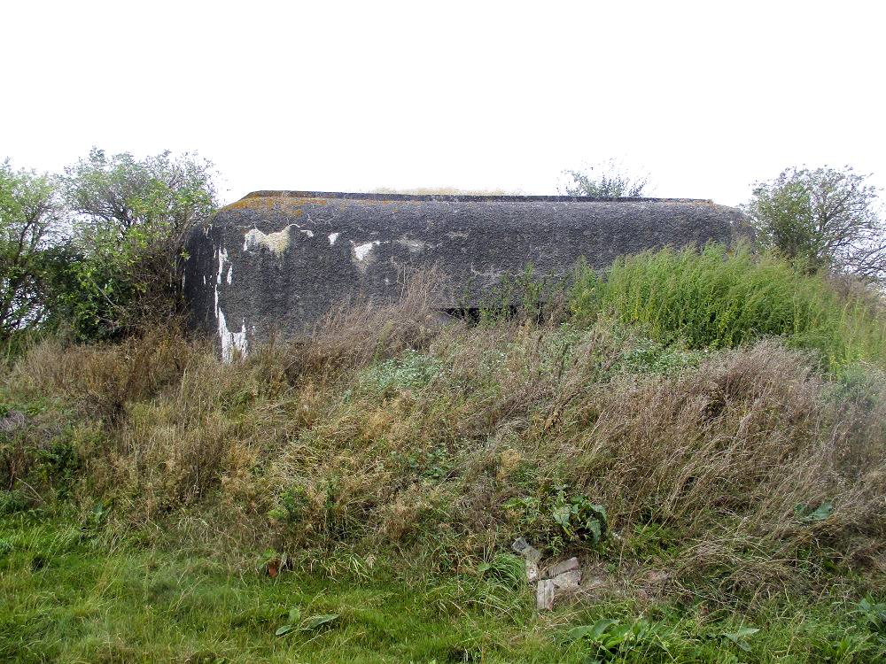 Ligne Maginot - B285 - BEAULIEU SUD - (Blockhaus pour canon) - Etat 2016