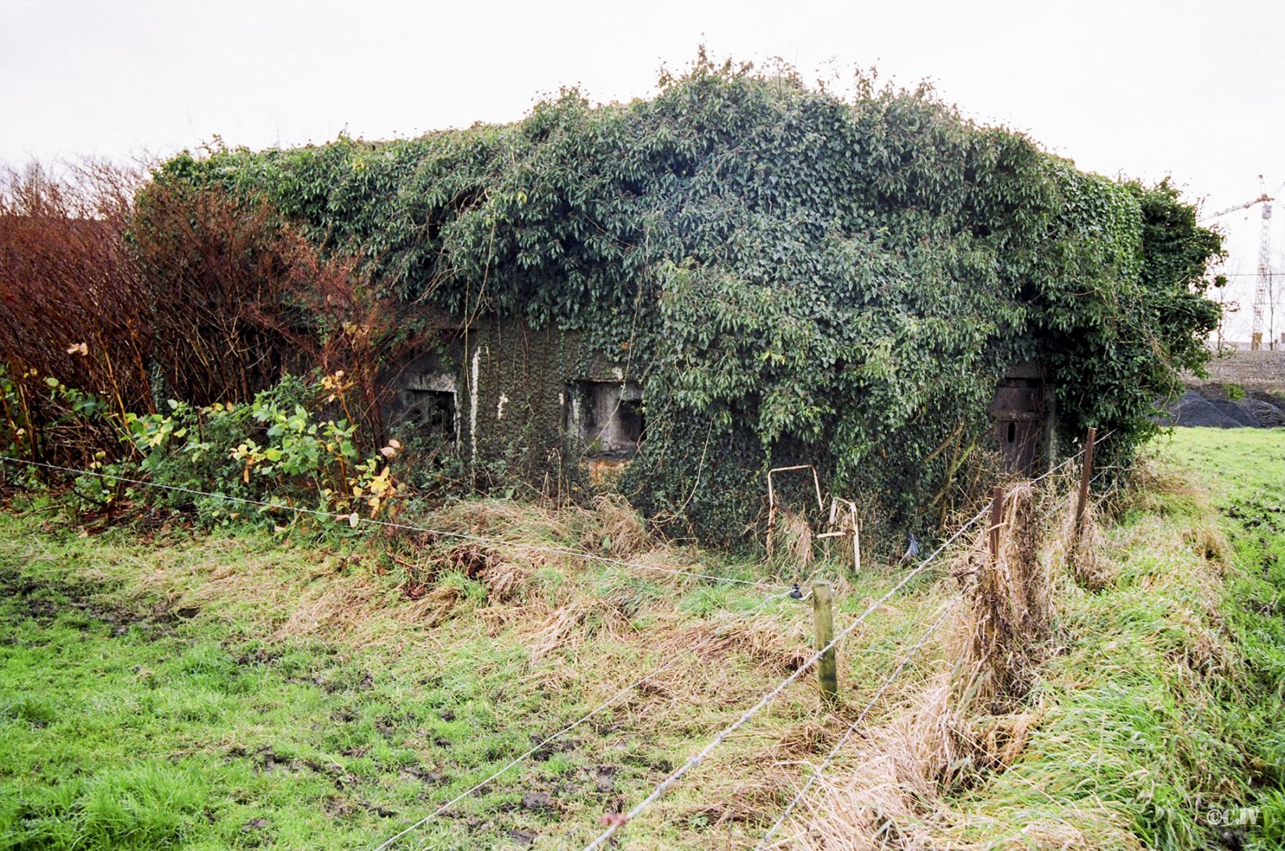 Ligne Maginot - B286 - GRIMONPONT NORD - (Blockhaus pour canon) -  - Caspar Vermeulen
