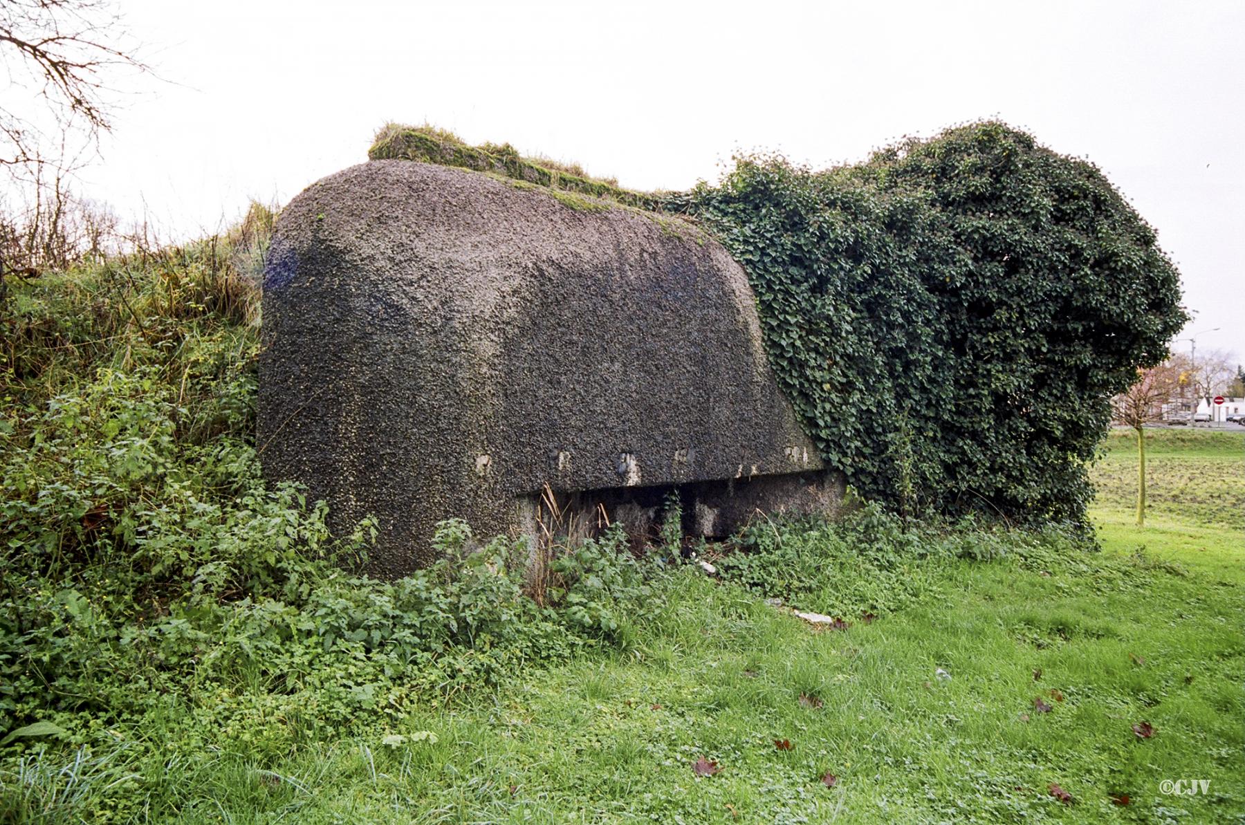 Ligne Maginot - B308 - PONT à TRESSIN NORD - (Blockhaus pour canon) - 