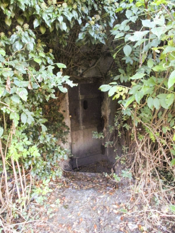 Ligne Maginot - B308 - PONT à TRESSIN NORD - (Blockhaus pour canon) - 