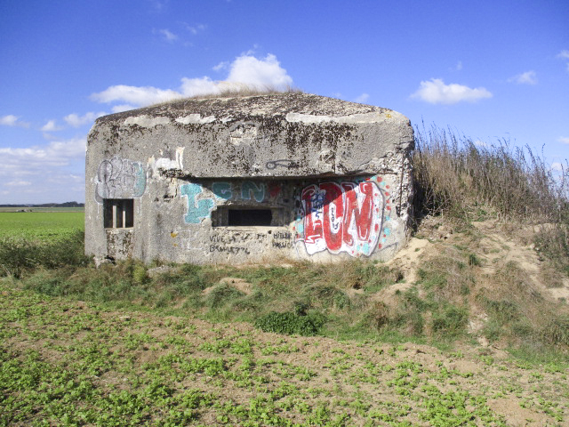 Ligne Maginot - B320 - CAMPHIN - (Blockhaus pour canon) - 