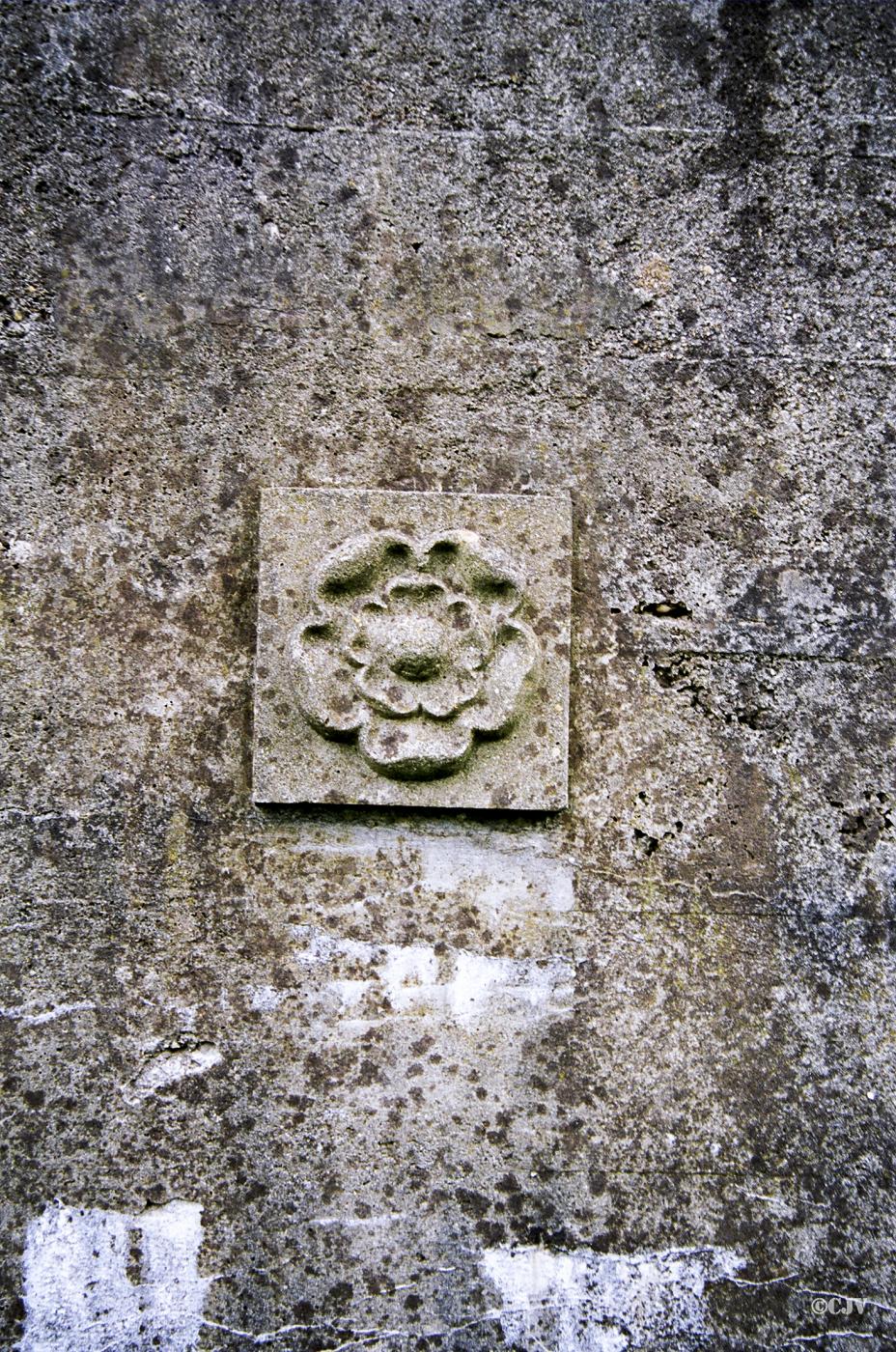 Ligne Maginot - BEF 301 - BOIS de la TASSONNIERE (Blockhaus pour canon) - Cet emblème est la rose blanche du Yorkshire - Caspar Vermeulen
