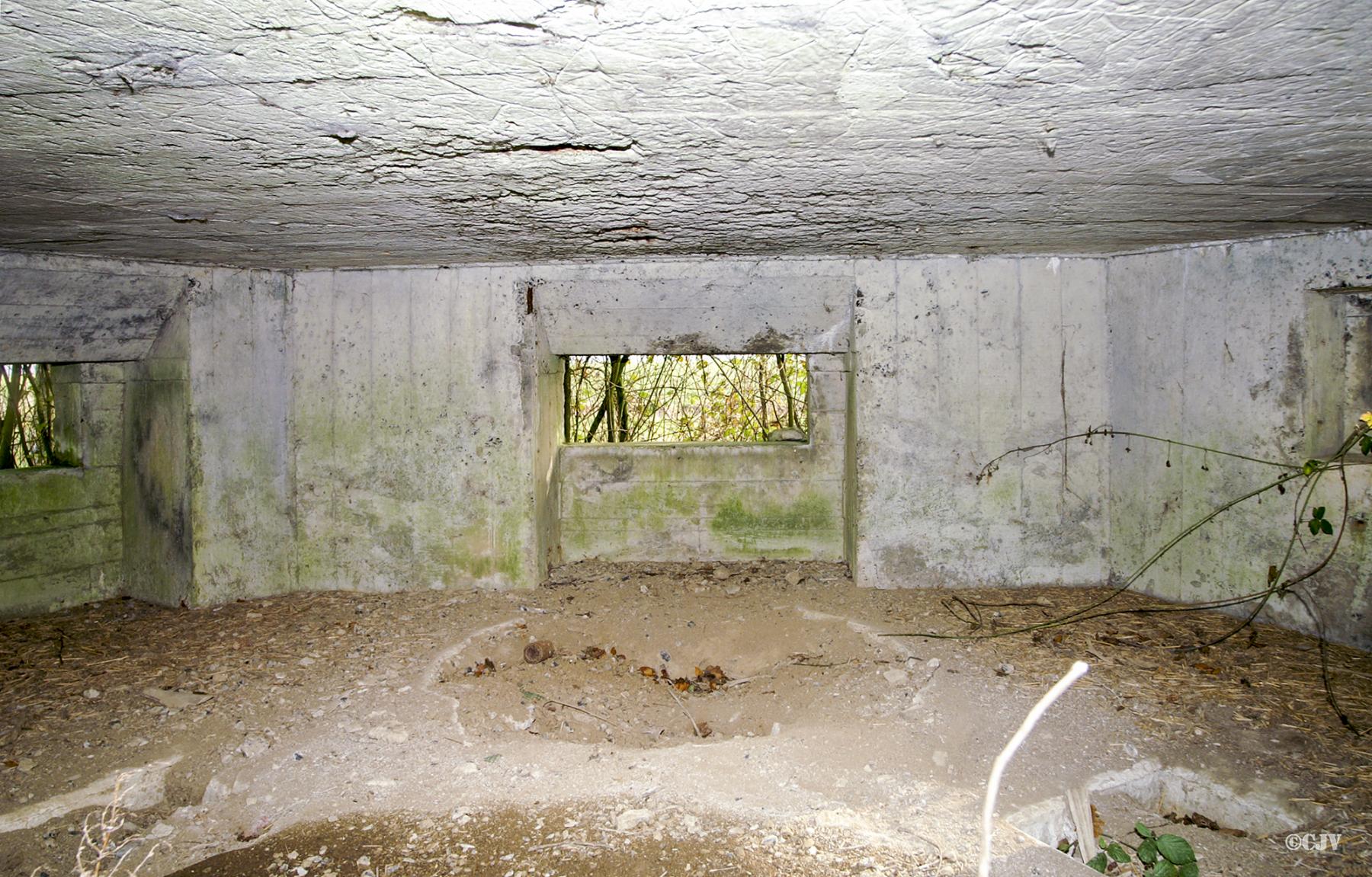 Ligne Maginot - B343 - BOIS de BERCU Nord (Blockhaus pour canon) - 