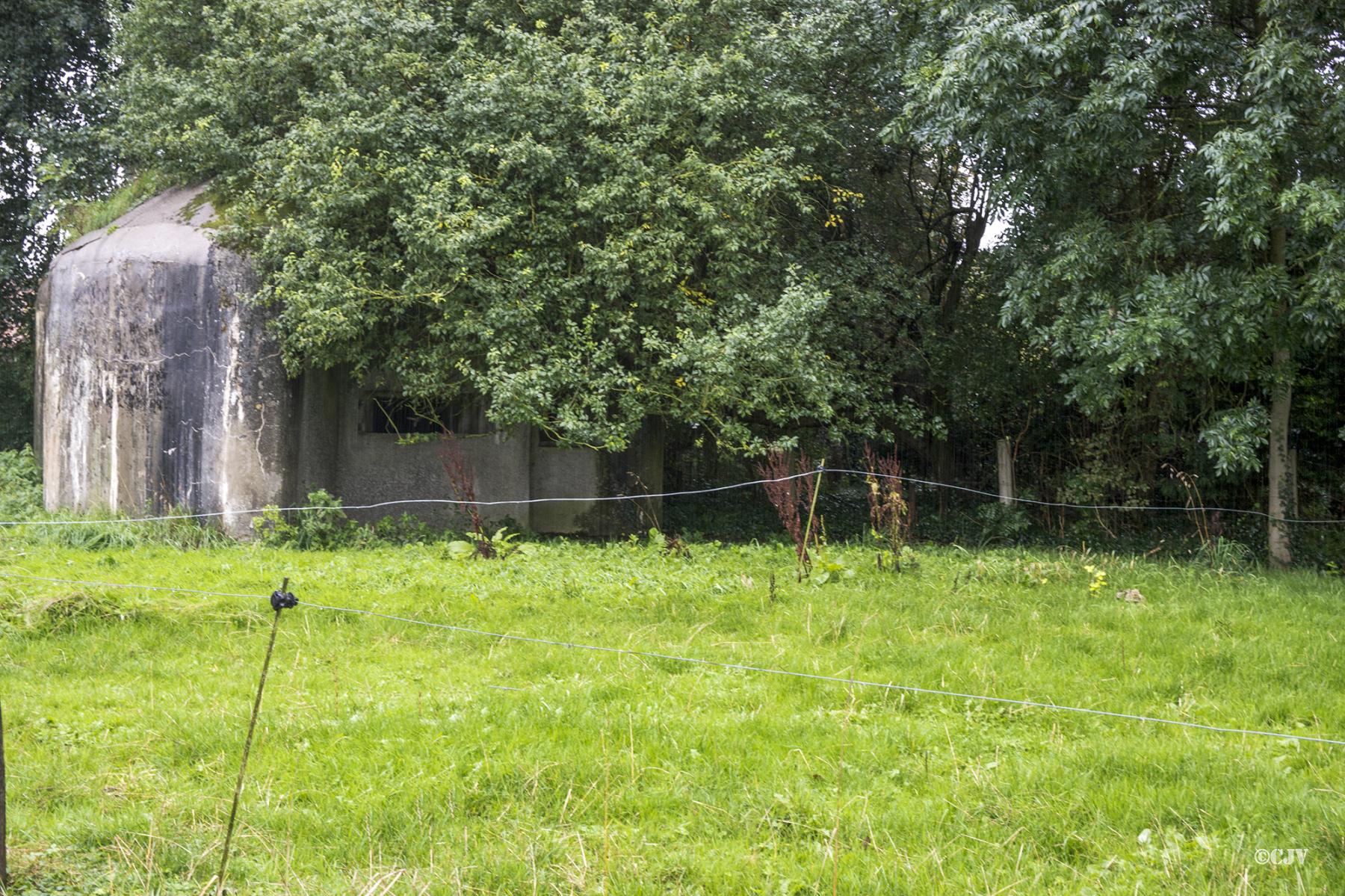 Ligne Maginot - B353 - MOUCHIN Ouest (Blockhaus pour canon) -  - Lia VERMEULEN