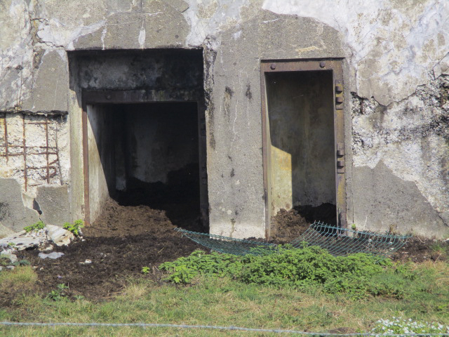 Ligne Maginot - B356 - PONT DU CHATEAU - (Blockhaus pour canon) -  - Smardz Félix