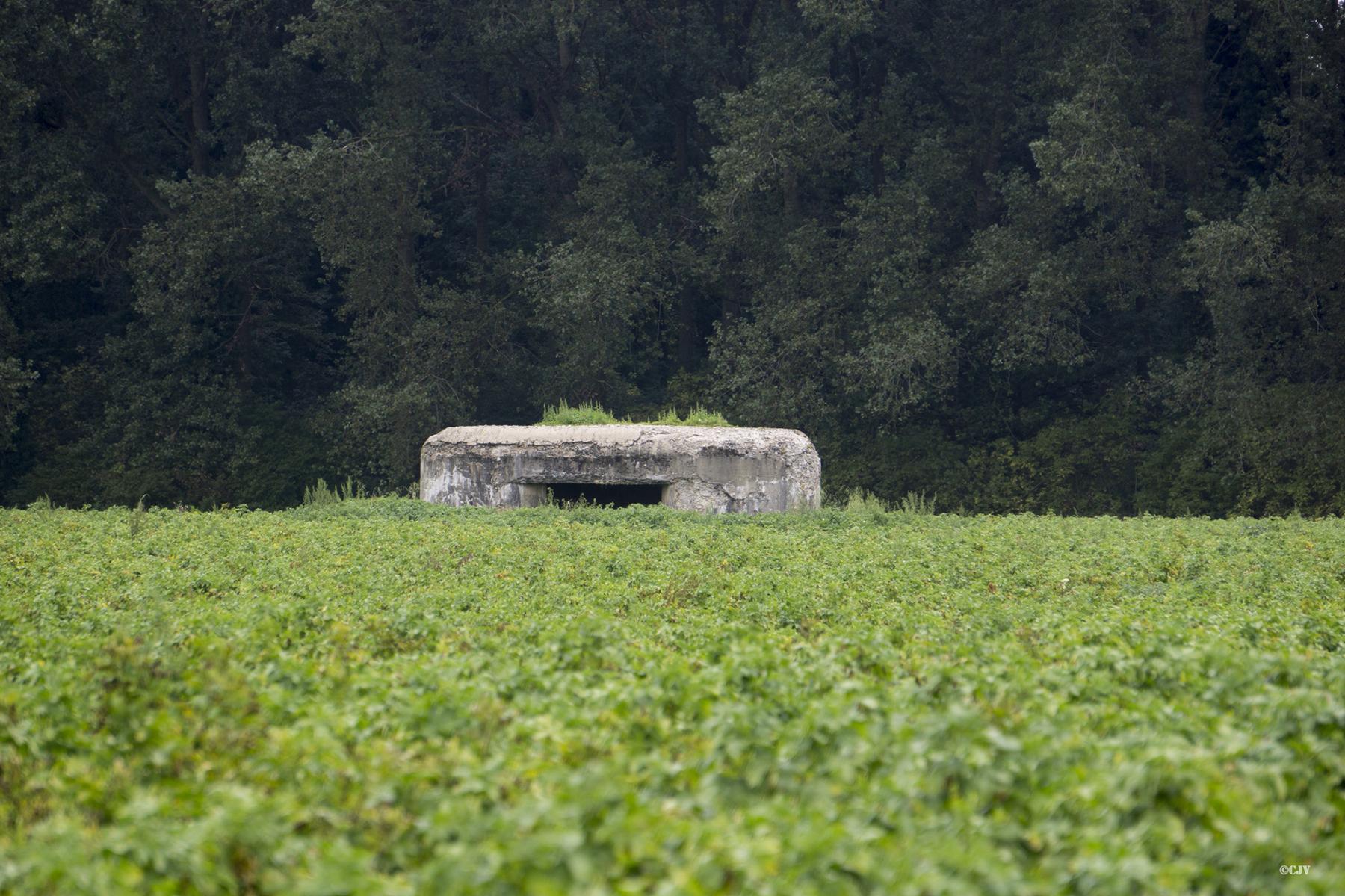 Ligne Maginot - B366BIS - LE ROTELEUX - (Blockhaus pour arme infanterie) - 