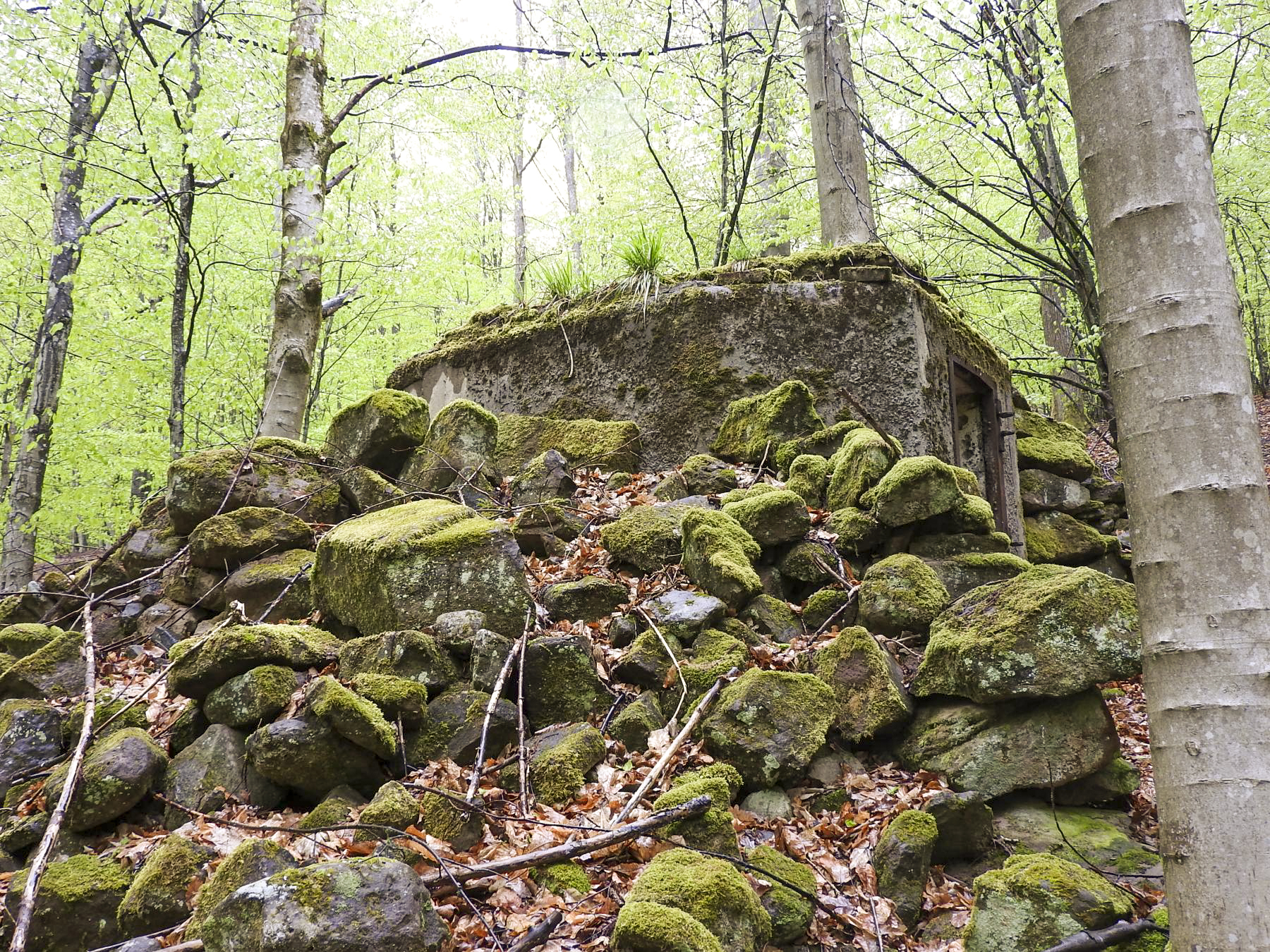 Ligne Maginot - M9 - TRAUTBACH 1 - (Blockhaus pour arme infanterie) - Le rocaillage sur le coté exposé