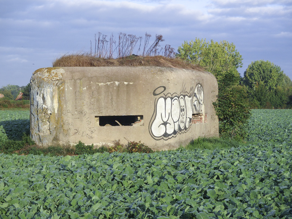 Ligne Maginot - B264 - Le BILEMONT (Blockhaus pour canon) - 