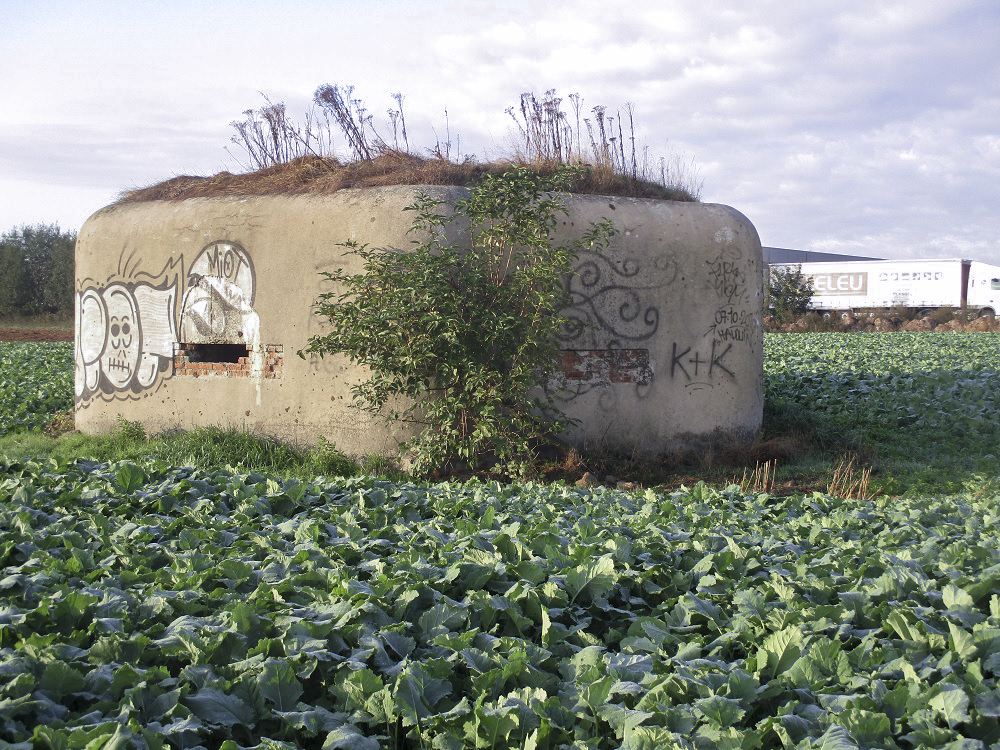 Ligne Maginot - B264 - Le BILEMONT (Blockhaus pour canon) - 
