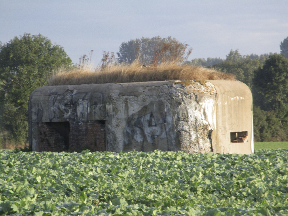 Ligne Maginot - B264 - Le BILEMONT (Blockhaus pour canon) - 