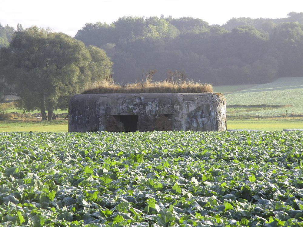 Ligne Maginot - B264 - Le BILEMONT (Blockhaus pour canon) - B264 - Le BILEMONT situé dans son environnement - vu depuis la D191.