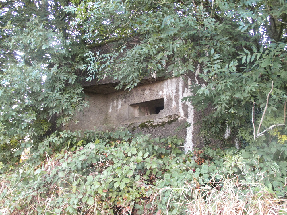 Ligne Maginot - B263 - Le VERTUQUET (Blockhaus pour canon) - 