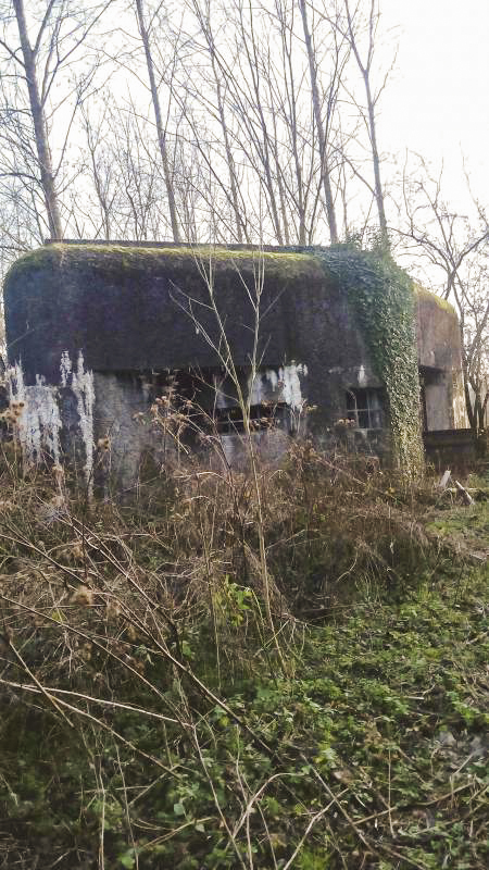 Ligne Maginot - B306 - ROCH Est (Blockhaus pour canon) - 