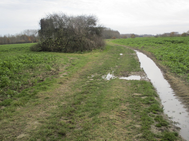 Ligne Maginot - B364 - LE MORTIER - (Blockhaus pour canon) - Blockhaus situé dans son environnement. - Smardz Félix