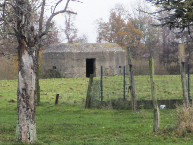 Ligne Maginot - B363 - CASERNE des DOUANES (Blockhaus pour canon) - Blockhaus situé dans un pré.
