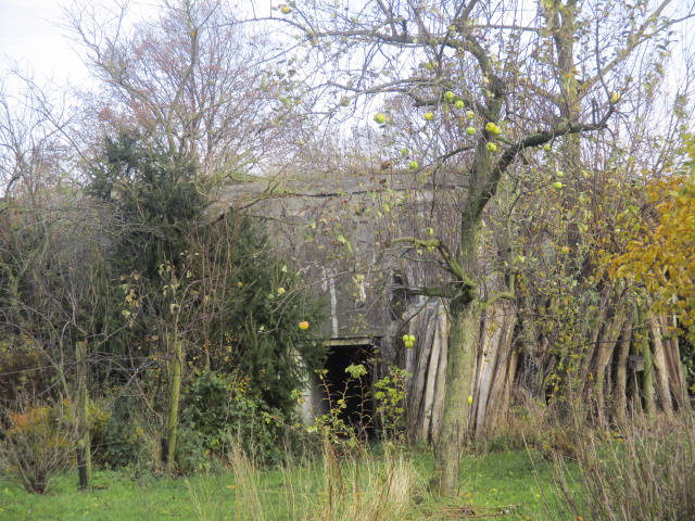 Ligne Maginot - B362 - RUE PRIERE (Blockhaus pour canon) - Blockhaus situé dans une propriété.