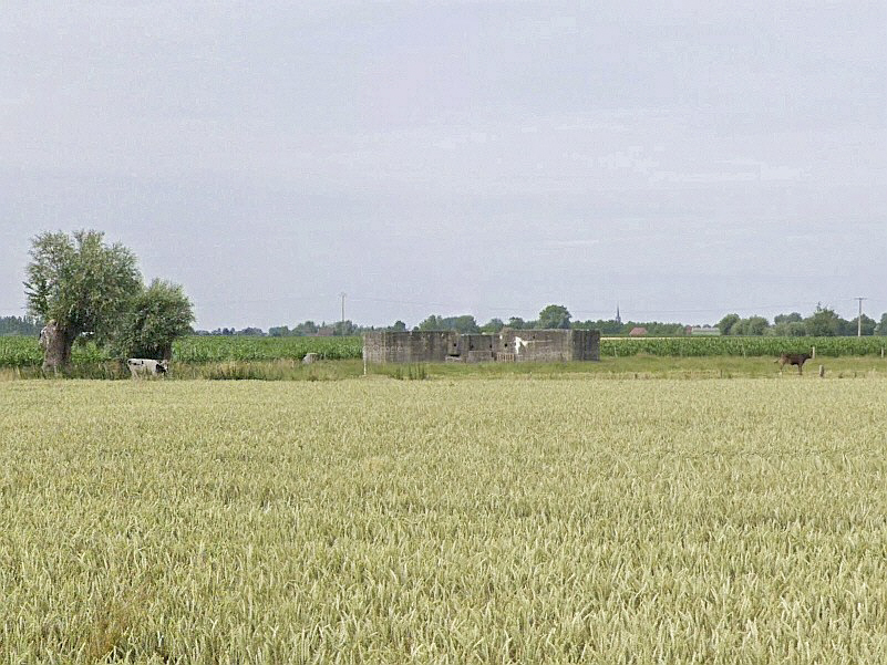 Ligne Maginot - BEF 7 - CHATEAU DES BOIS OUEST - (Abri) - 