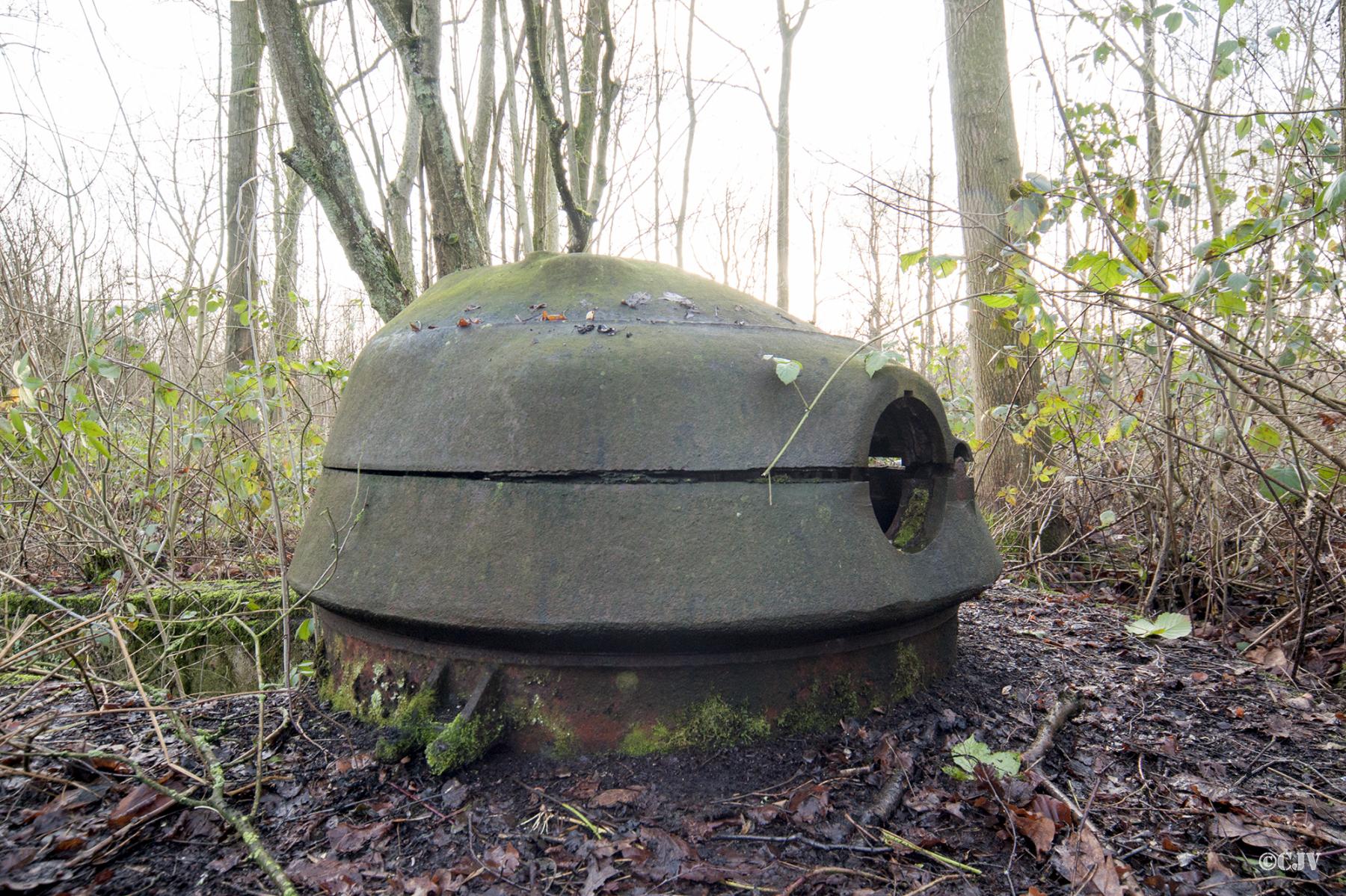 Ligne Maginot - T7 - BOIS DE LA TASSONNIERE OUEST (TD N° 363) - (Cuve pour arme d'infanterie) - 