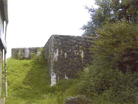 Ligne Maginot - BEF 141 - TERRAIN D'AVIATION DE FLERS OUEST 1 - (Blockhaus pour canon) - 