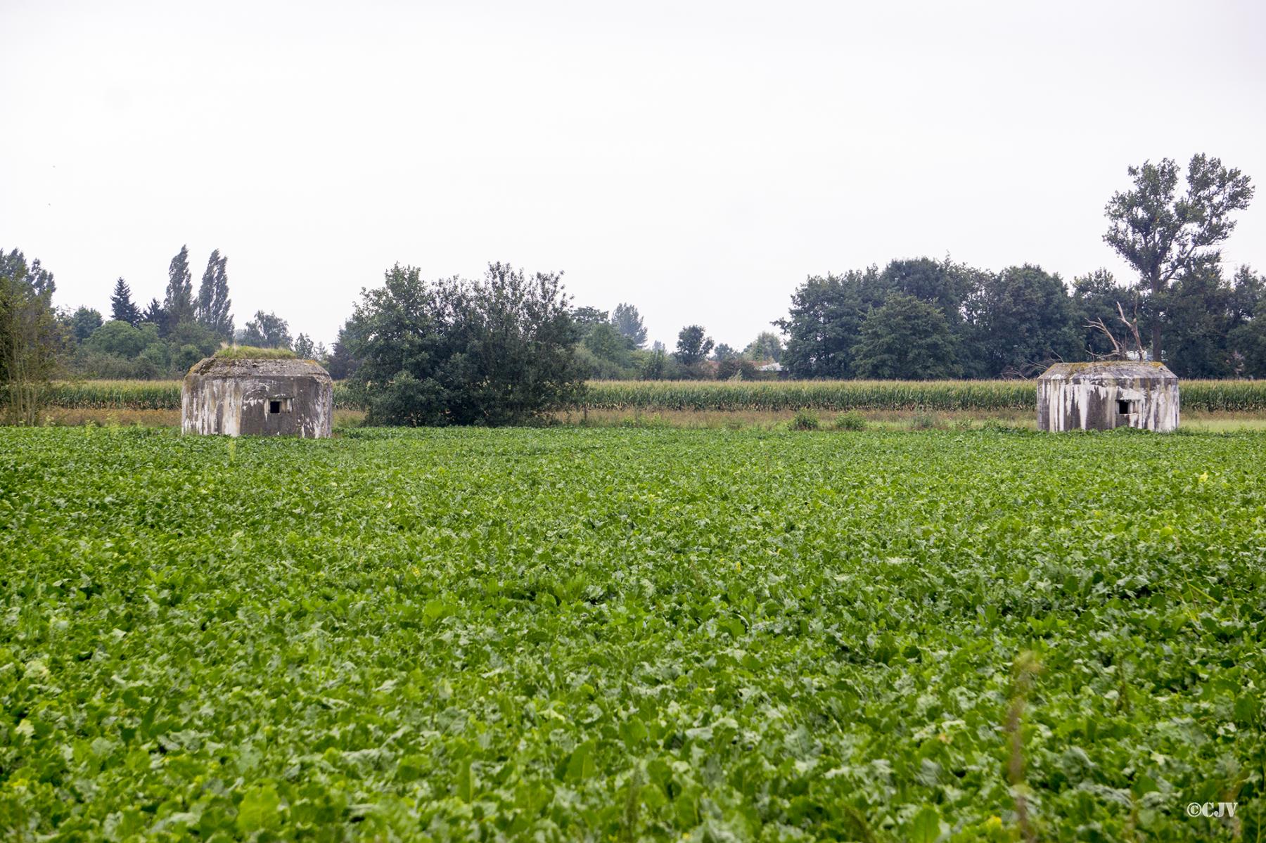 Ligne Maginot - BEF 682 - ROBREUX EST - (Blockhaus pour arme infanterie) - 