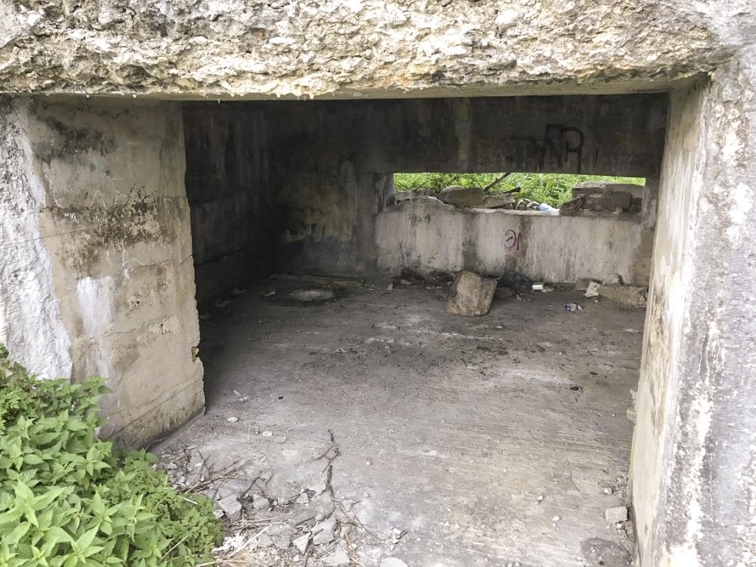 Ligne Maginot - BEF 205 - PONT DU CROQUET - (Blockhaus pour canon) - 