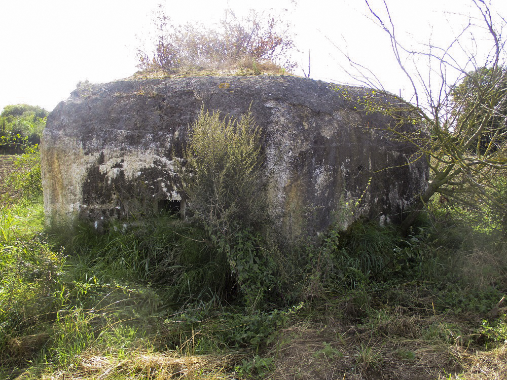 Ligne Maginot - BEF 233 - Le PURGATOIRE Nord 1 (Blockhaus pour arme infanterie) - 
