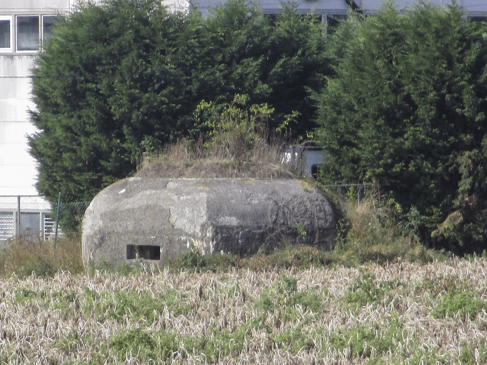 Ligne Maginot - BEF 241 - LE PURGATOIRE SUD OUEST - (Blockhaus pour arme infanterie) - 