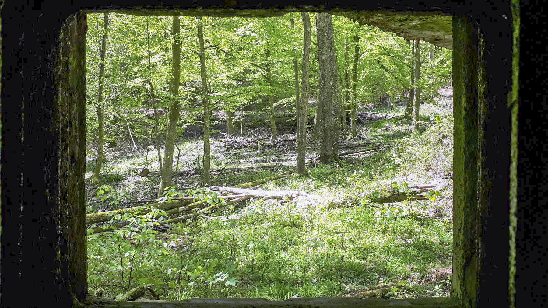 Ligne Maginot - TRAUTBACH OUEST - (Blockhaus pour arme infanterie) - Vue depuis le créneau Est