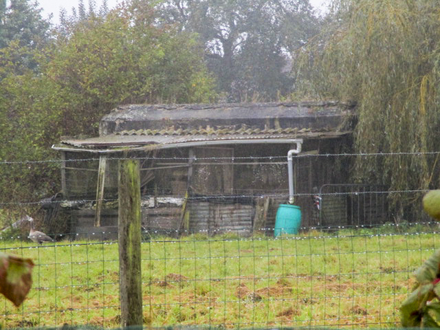 Ligne Maginot - BEF 265 - La FRETE Nord (Blockhaus pour canon) - Le blockhaus est visible d'un chemin de terre provenant de la rue du Riez. - Smardz Félix