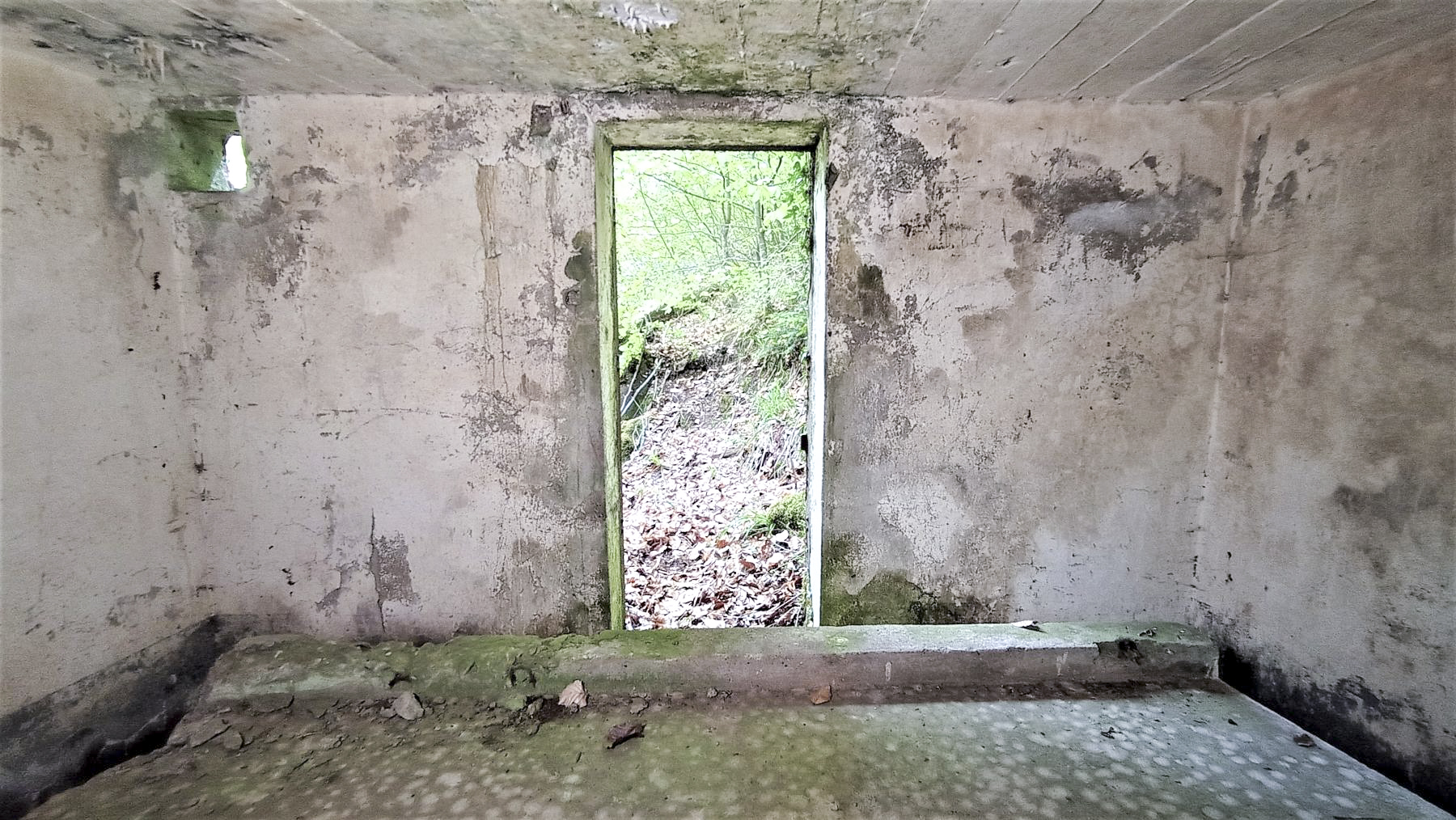 Ligne Maginot - M10 - NONNENHARDT EST 3 - (Blockhaus pour arme infanterie) - L'entrée