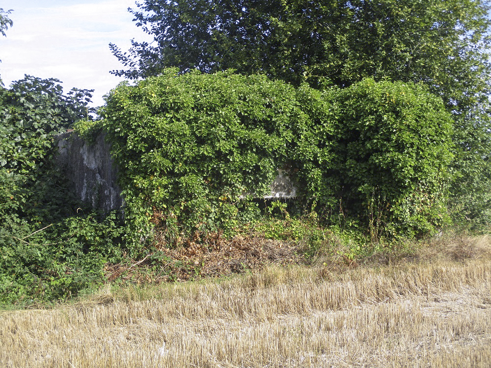 Ligne Maginot - BEF 276 - Le BERQUIER Centre 1 (Blockhaus pour canon) - Photographié depuis la rue du Chemin vert.