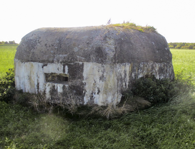 Ligne Maginot - BEF 321 - CHAPELLE aux ARBRES 4 (Blockhaus pour arme infanterie) - 