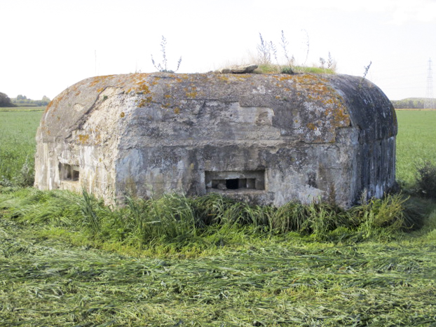 Ligne Maginot - BEF 320 - CHAPELLE aux ARBRES 2 (Blockhaus pour arme infanterie) - 