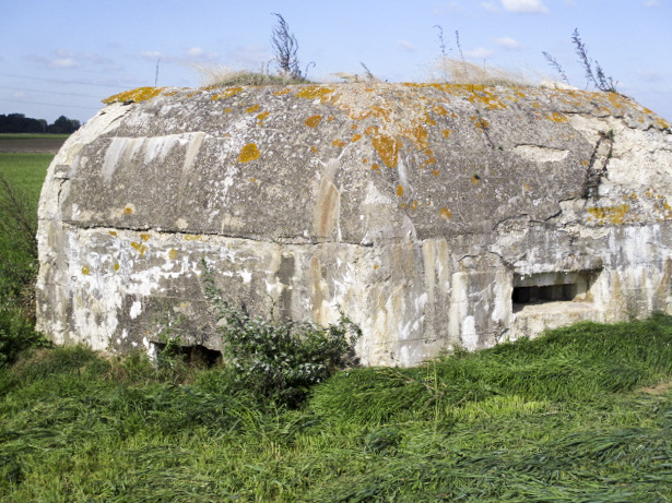 Ligne Maginot - BEF 320 - CHAPELLE aux ARBRES 2 (Blockhaus pour arme infanterie) - 