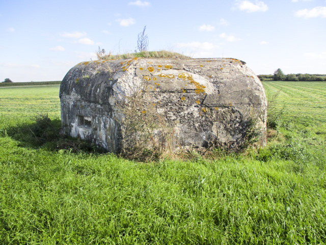 Ligne Maginot - BEF 320 - CHAPELLE aux ARBRES 2 (Blockhaus pour arme infanterie) - 