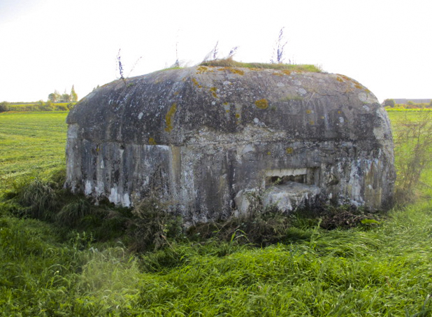 Ligne Maginot - BEF 320 - CHAPELLE aux ARBRES 2 (Blockhaus pour arme infanterie) - 