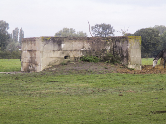 Ligne Maginot - BEF 341 - BLONDE-RUE Nord (Blockhaus pour arme infanterie) - Vu du chemin du circuit de la Commanderie.