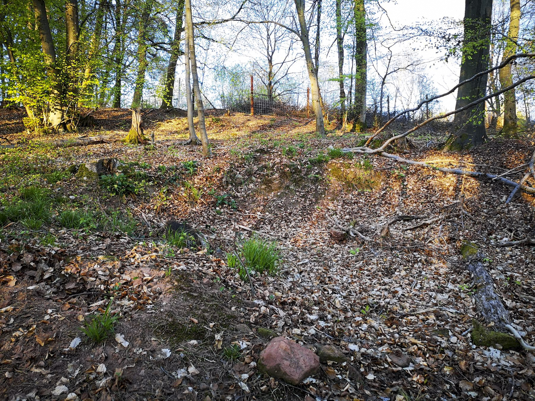 Ligne Maginot - WASSERLOCH - (Position d'artillerie préparée) - Un des emplacements probables de pièces