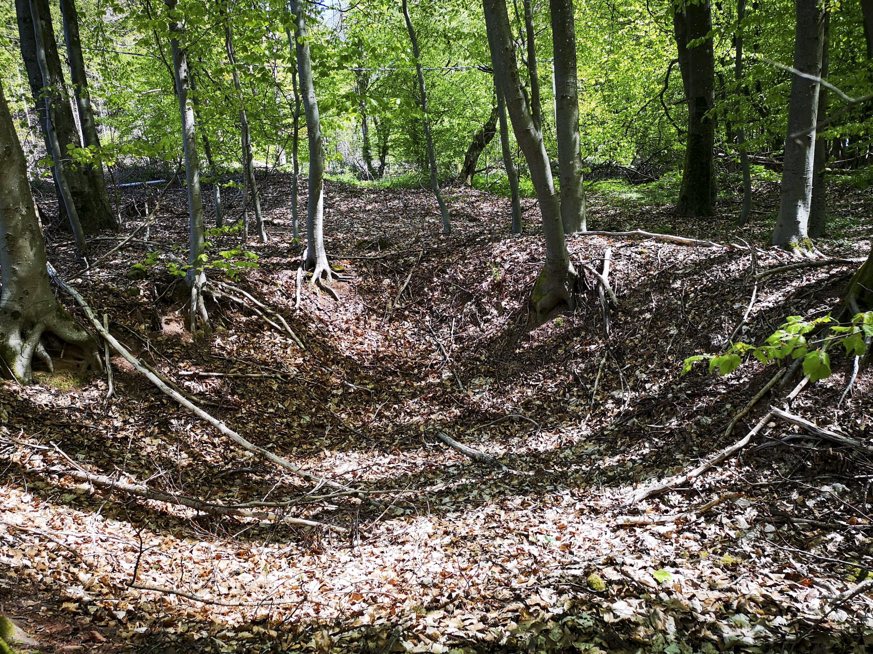 Ligne Maginot - SAUECK - (Position d'artillerie préparée) - Encuvement, Position probable des pièces