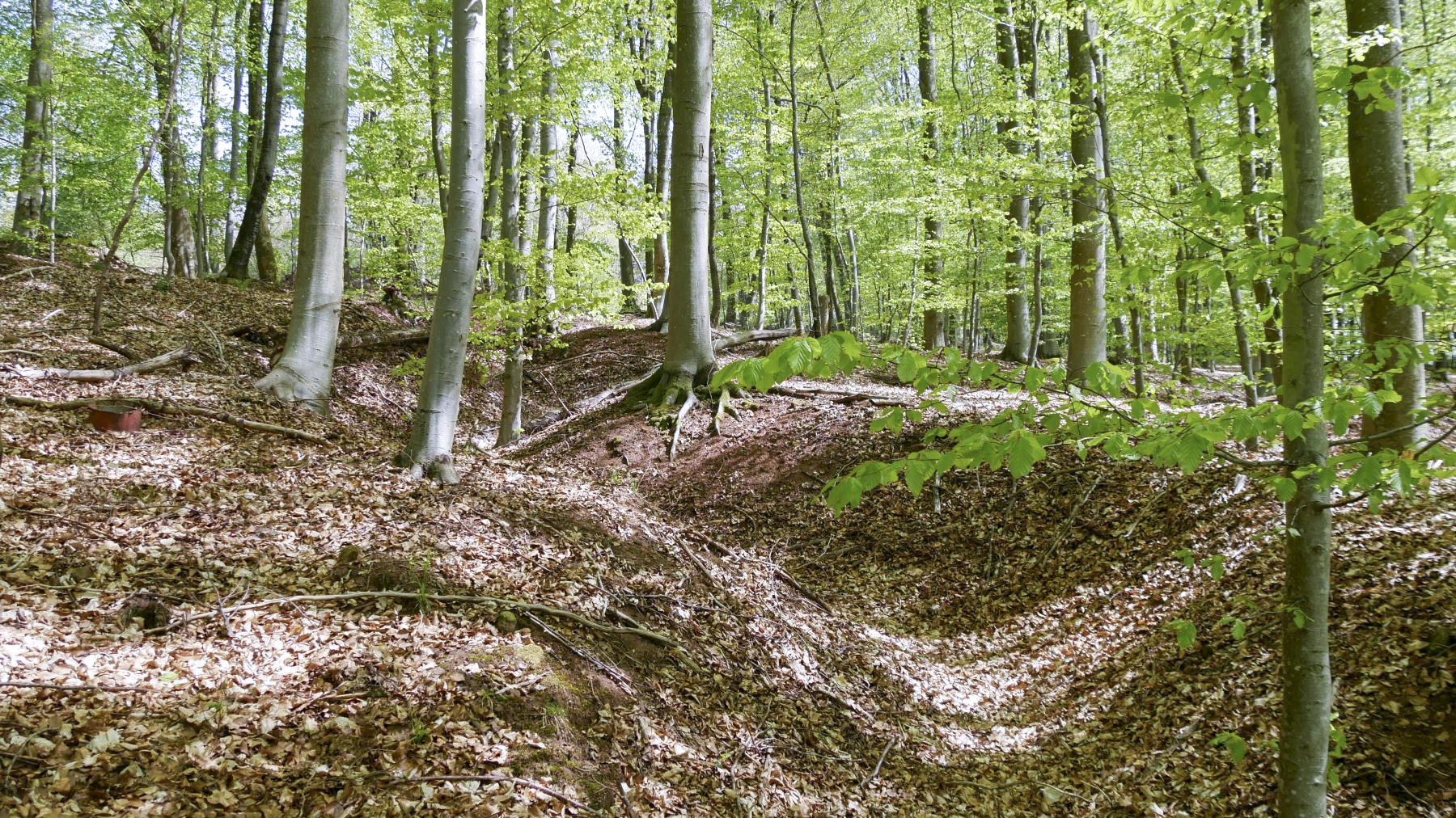 Ligne Maginot - SAUECK - (Position d'artillerie préparée) - Réseau de tranchées entre les positions des pièces et les abris en contrebas