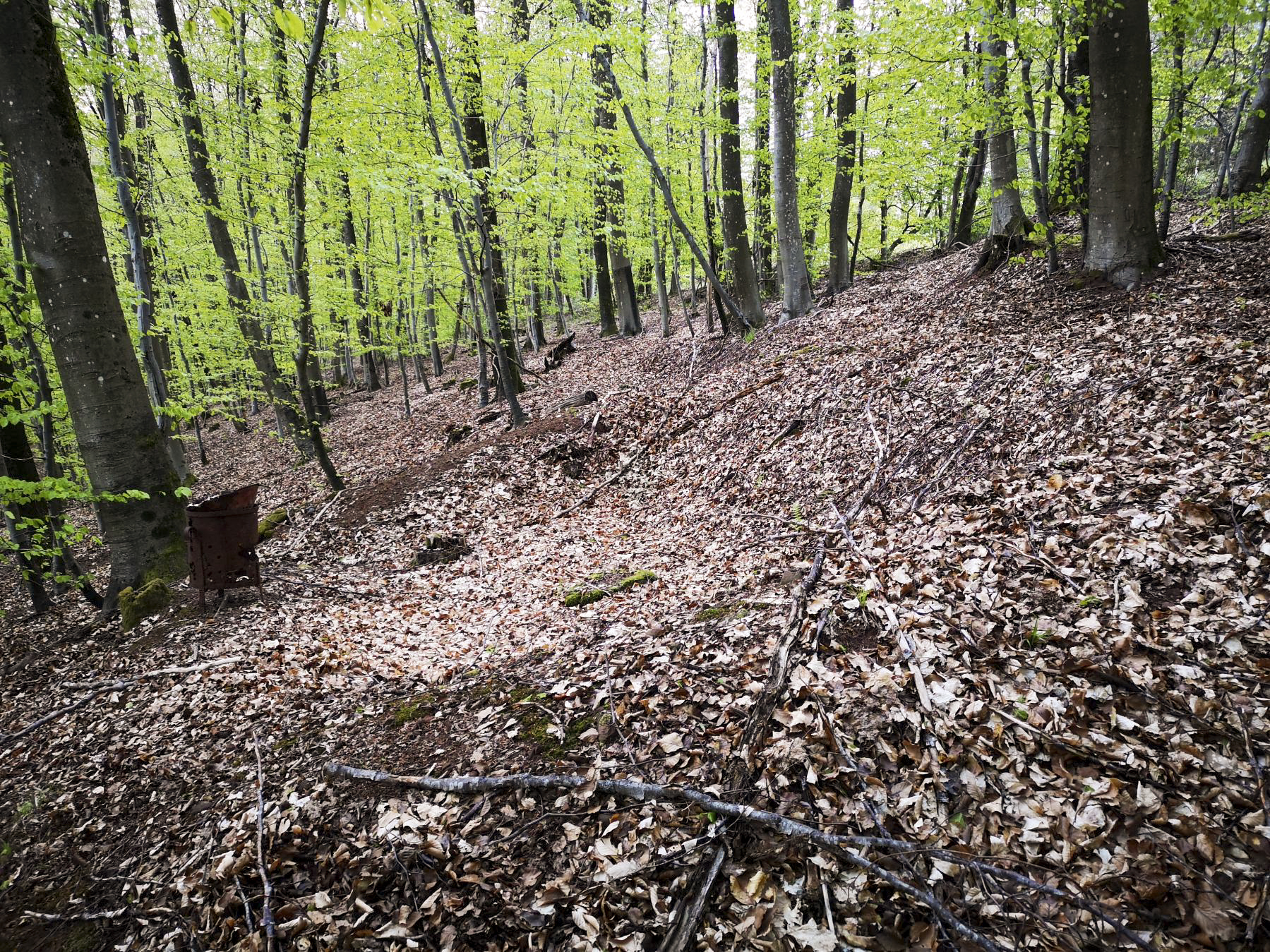 Ligne Maginot - SAUECK - (Position d'artillerie préparée) - Réseaux de tranchées et vestiges de poêle à bois