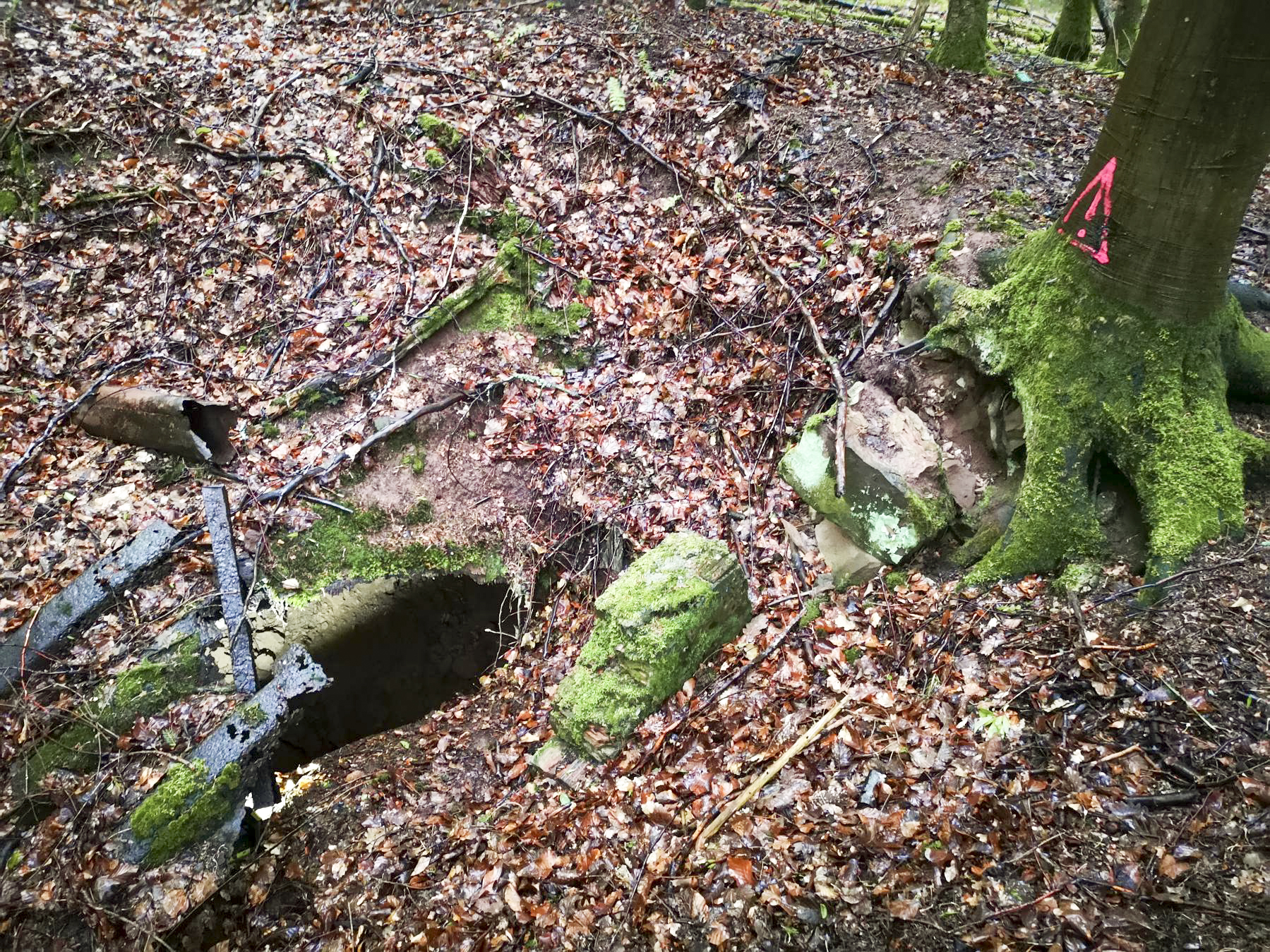 Ligne Maginot - SAUECK - (Position d'artillerie préparée) - Troisième abri en tôle métro, presque entièrement enseveli