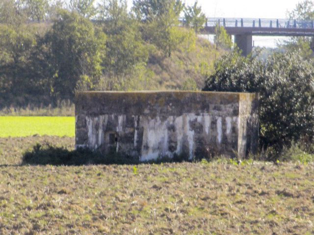 Ligne Maginot - BEF 359 - Les SIX CHEMINS (Blockhaus pour arme infanterie) - Blockhaus dans son environnement. - Smardz Félix