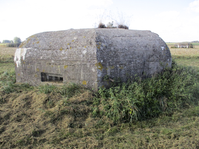Ligne Maginot - BEF 355 - BAS DU CHEMIN DE CAMPHIN 3 - (Blockhaus pour arme infanterie) - 
